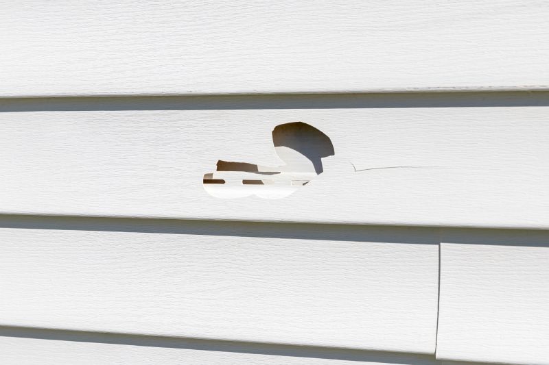 Vinyl Siding Repair Installation Image 1
