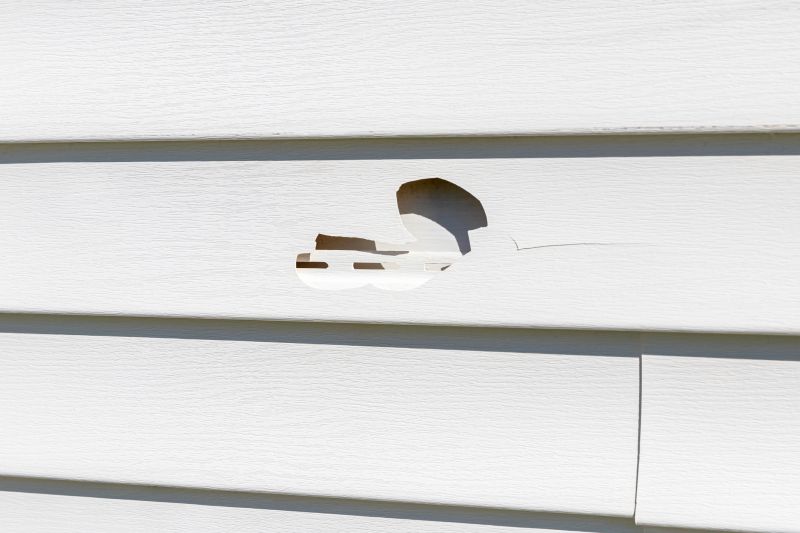 Vinyl Siding Repair Installation Image 2